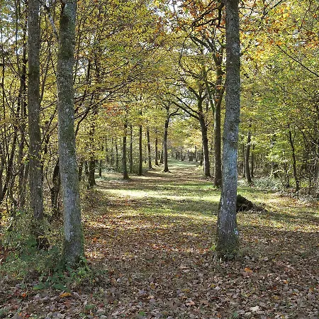 Holiday Home Wapiti * Famenne